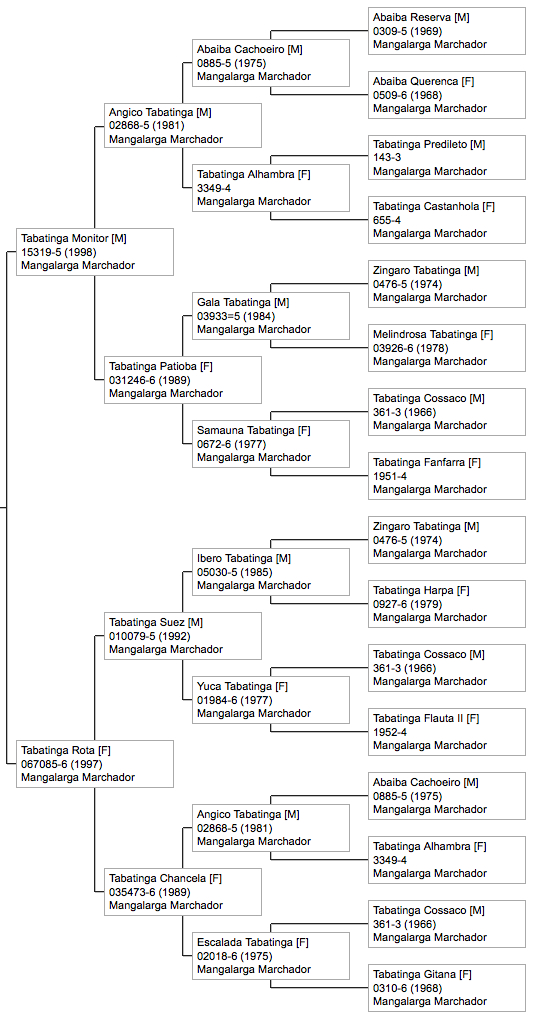mangalarga marchador pedigree