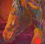 mangalarga marchador